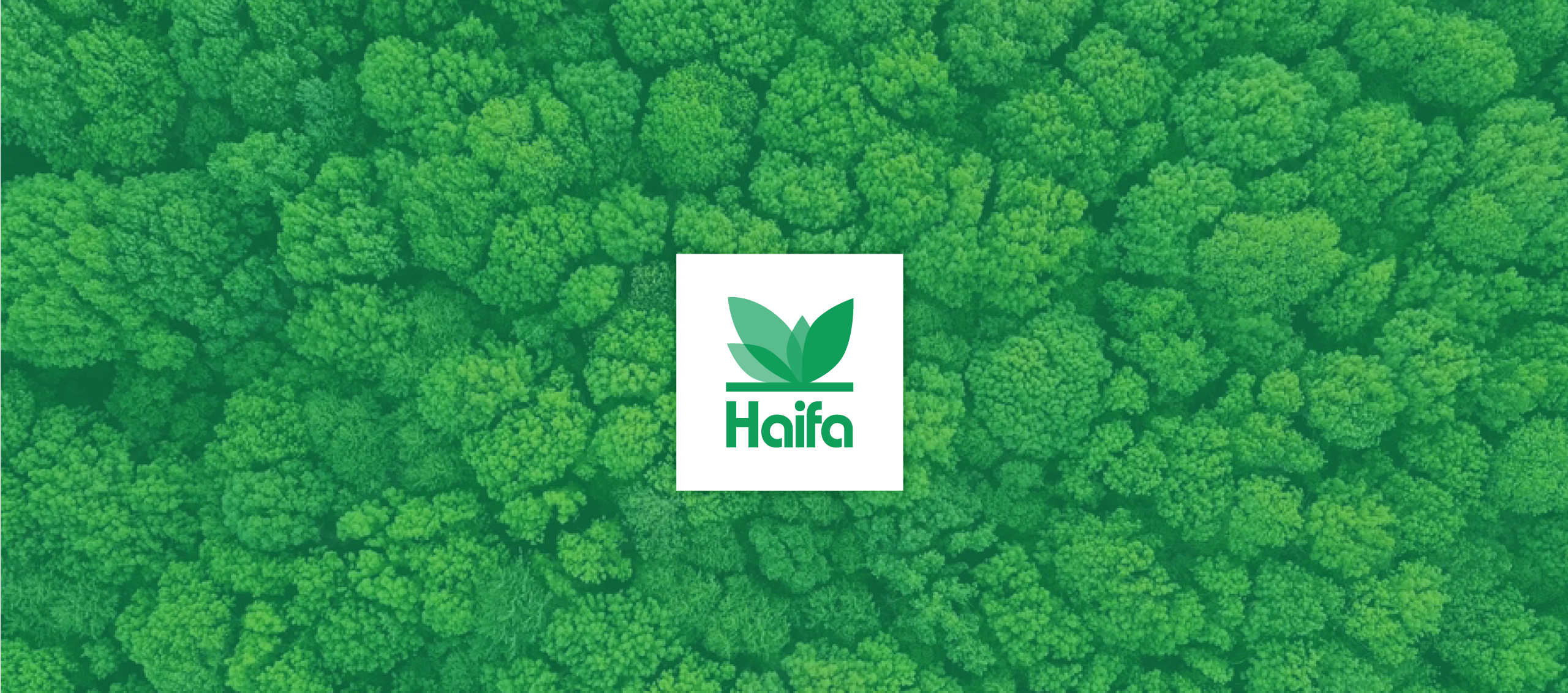 Haifa Group by Dotan-Lidgi